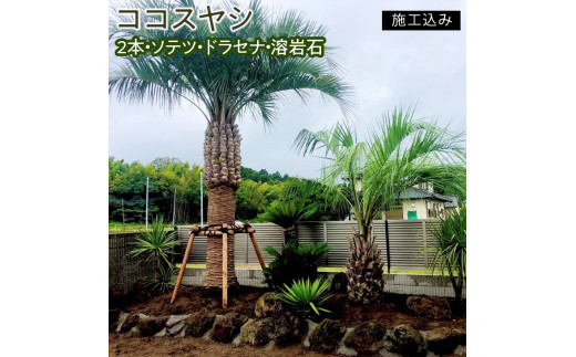 ココスヤシ　２本・ソテツ・ドラセナ・溶岩石【施工込み】【ヤシの木 ヤシ リゾート ガーデン 自宅 別荘 南国 庭木 観葉植物 水戸市 茨城県 リゾートガーデン】（AU-3）