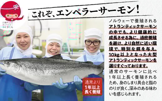 【ちゃんちゃ】チャーム　サーモン　シロサケ　鮭　剥製 ちゃんちゃ】チャーム サーモン シロサケ 鮭 剥製