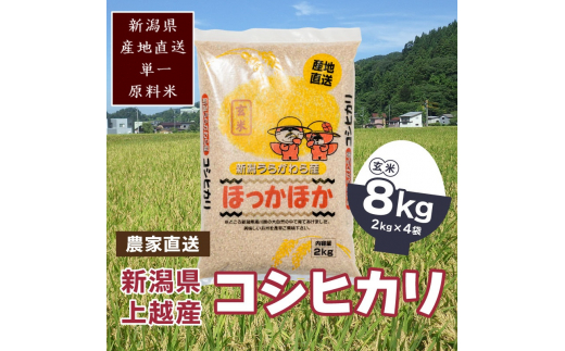 【数量限定】令和5年産|新潟県上越市浦川原産|極上の雪国米 コシヒカリ8kg(2kg×4)玄米 こしひかり 米