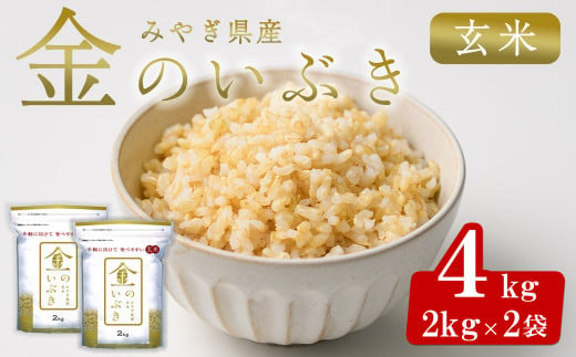 宮城県産 金のいぶき 4kg 玄米 お米 おこめ 米 コメ ご飯 ごはん おにぎり お弁当 ブランド米 宮城米【株式会社パールライス宮城】ta392