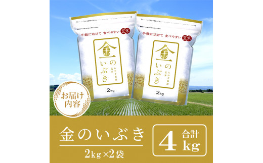 宮城県産 金のいぶき 4kg 玄米 お米 おこめ 米 コメ ご飯 ごはん おにぎり お弁当 ブランド米 宮城米【株式会社パールライス宮城】ta392