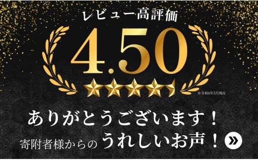 贅沢な佐賀牛 プレミアム定期便・通年4回【ヒレステーキも楽しめます！】 牛肉 黒毛和牛 極上の佐賀牛 厳選 100000円 10万円 お肉 おにく フィレ ギフト プレゼント 贈り物 N100-10