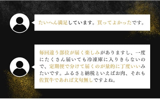 贅沢な佐賀牛 プレミアム定期便・通年4回【ヒレステーキも楽しめます！】 牛肉 黒毛和牛 極上の佐賀牛 厳選 100000円 10万円 お肉 おにく フィレ ギフト プレゼント 贈り物 N100-10