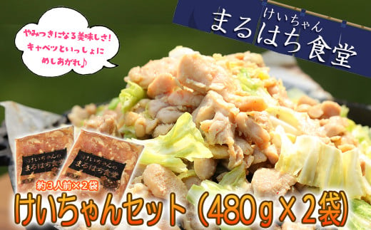  鶏ちゃん発祥の名店「まるはち食堂」こだわり抜かれた下呂の味！！けいちゃん 480g×2（約6人前）冷凍  ケイちゃん 郷土料理 まるはち 下呂市 鶏肉 味付け 味付き 焼くだけ 簡単調理 下呂温泉 けーちゃん おすすめ まるはち 下呂市 まるはち食堂