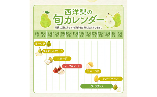 【令和6年産 先行予約】西洋梨オーロラ2kg 秀品　化粧箱入り　山形県 東根市 東根農産センター提供 hi027-134