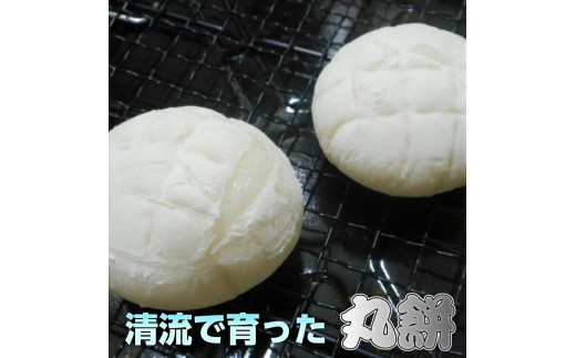 丸餅約500g(12個)1個約40g～45g【無添加】【つき餅】お祝い お供え 自宅用 ※着日指定不可 ※離島への配送不可