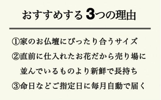 ６７５．【月1回・12ヶ月定期便】サイズで選べるお供え花の定期便（一束）年12回
※北海道・沖縄・離島への配送不可