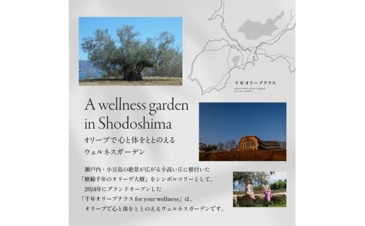 千年オリーブテラス for your wellness　日帰り体験（入園つき）ペアチケット マインドフルネス体験 体験 体験チケット オリーブテラス 日帰り 小豆島