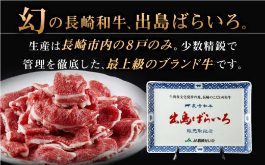 長崎和牛 出島ばらいろ 切り落とし（モモ、バラ、カタのいずれか）800g(400g×2)【合同会社肉のマルシン】 [QBN004]