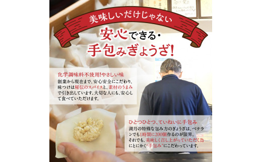 冷凍スープ餃子170g×4パック（10個/パック）_スープ餃子 冷凍スープ餃子 10個 × 4パック 濃縮スープ付き ぎょうざ専門店 湖月 こだわり 自家製 手作り 添加物不使用 冷凍 スープ 餃子 雑炊 お取り寄せ お取り寄せグルメ 福岡県 久留米市 送料無料_Cx213