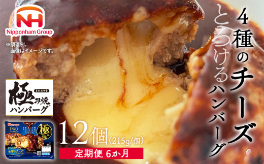 【定期便】極み焼きハンバーグ（4種のチーズソース）セット定期便6か月 定期便