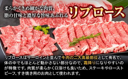 牛肉 熊野牛 リブロース すき焼き しゃぶしゃぶ 用 400g 株式会社Meat Factory《30日以内に出荷予定(土日祝除く)》和歌山県 日高川町 送料無料 国産 牛肉 肉 黒毛和牛 リブ ロース すきやき しゃぶしゃぶ 鍋 お取り寄せグルメ