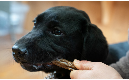 O20　宍粟 鹿肉 100％　中型犬 ～ 大型犬 向け 犬 の 無添加 おやつ　噛ませたい（ハードタイプ）　【 ペット 用品 ペットフード 低脂肪 高タンパク 鉄分 ジビエ ヒューマングレード ハード 】