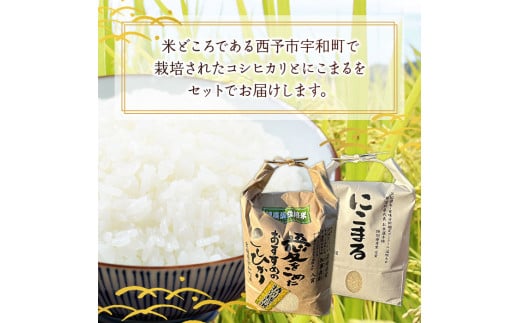 令和５年産　西予市宇和町産特別栽培米コシヒカリ・にこまる食べ比べセット（各２kg）