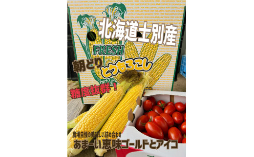 北海道士別産　かあさんの朝どりとうきび＆アイコのあま～いセット