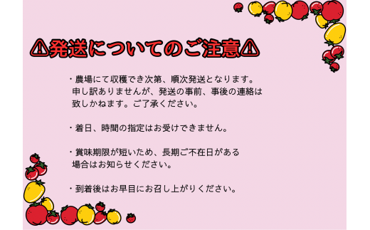 北海道士別産　かあさんの朝どりとうきび＆アイコのあま～いセット