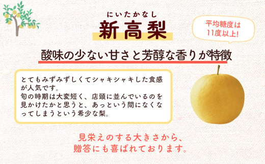 新高梨 5kg【倉吉産】 倉吉観光梨園 新高梨 にいたかなし ブランド梨 なし ナシ 梨 鳥取 5kg 果物 フルーツ 和梨 先行予約 数量限定 詰め合わせ 人気 甘い 今が旬