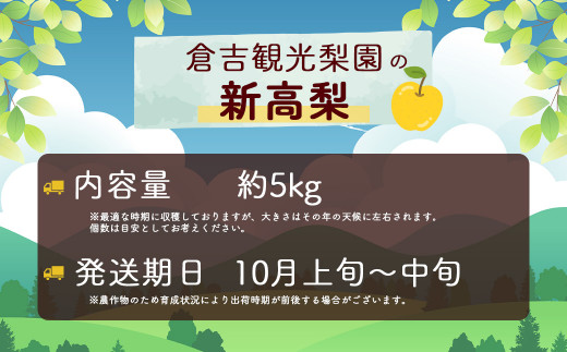 新高梨 5kg【倉吉産】 倉吉観光梨園 新高梨 にいたかなし ブランド梨 なし ナシ 梨 鳥取 5kg 果物 フルーツ 和梨 先行予約 数量限定 詰め合わせ 人気 甘い 今が旬