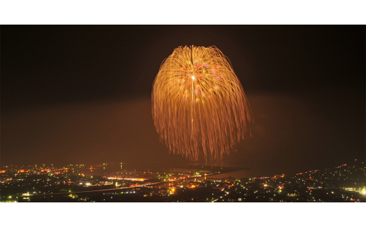 ＜のし付き・お歳暮＞発酵ジェノベーゼソース 150g×9個＜発酵のうまみ＞鹿児島県枕崎産 B8-1S【1551728】