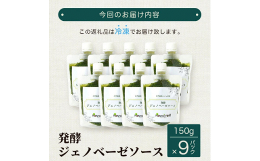 ＜のし付き・お歳暮＞発酵ジェノベーゼソース 150g×9個＜発酵のうまみ＞鹿児島県枕崎産 B8-1S【1551728】