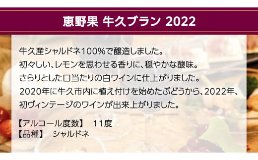 恵野果 牛久ルージュ 2022・恵野果 牛久ブラン 2022 の 750ml×2本セット 茨城県産 牛久醸造場 日本ワイン ワイン 赤ワイン 白ワイン 750ml ミディアムボディ お酒 贈り物 葡萄 ぶどう