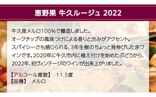 恵野果 牛久ルージュ 2022・恵野果 牛久ブラン 2022 の 750ml×2本セット 茨城県産 牛久醸造場 日本ワイン ワイン 赤ワイン 白ワイン 750ml ミディアムボディ お酒 贈り物 葡萄 ぶどう