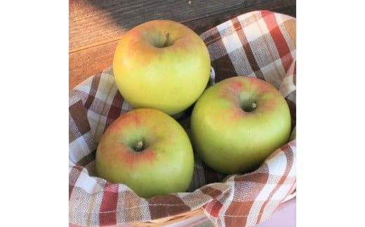 りんごの人気品種「ぐんま名月」です。５ｋｇ×１箱をお届けします。