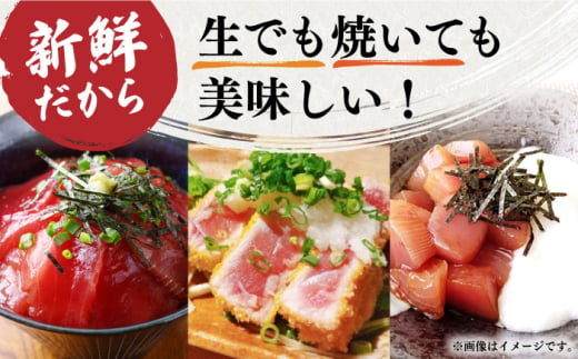 【全3回定期便】本マグロセット 計約550g(大トロ・中トロ・赤身セット) 長崎県/長崎県漁業協同組合連合会 [42ZZAC011] マグロ 中トロ 赤身 刺身 長崎 養殖