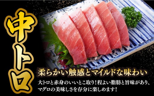 【全3回定期便】本マグロセット 計約550g(大トロ・中トロ・赤身セット) 長崎県/長崎県漁業協同組合連合会 [42ZZAC011] マグロ 中トロ 赤身 刺身 長崎 養殖