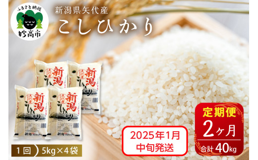 【2025年1月中旬発送】【定期便】令和6年産 新潟県矢代産コシヒカリ20kg(5kg×4袋)×2回（計40kg）