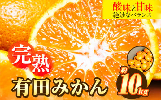 完熟有田みかん 10kg 株式会社魚鶴商店《2024年11月下旬-2025年2月上旬頃出荷》和歌山県 日高町 有田みかん ミカン 蜜柑 フルーツ 柑橘