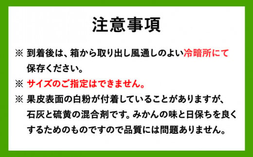 完熟有田みかん 10kg 株式会社魚鶴商店《2024年11月下旬-2025年2月上旬頃出荷》和歌山県 日高町 有田みかん ミカン 蜜柑 フルーツ 柑橘