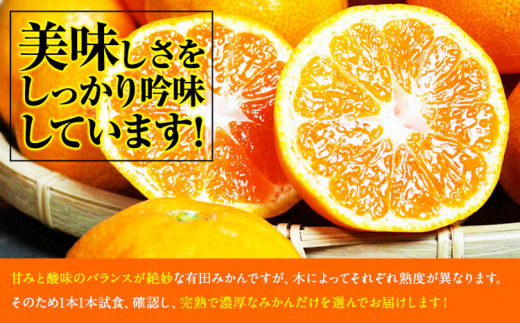 完熟有田みかん 10kg 株式会社魚鶴商店《2024年11月下旬-2025年2月上旬頃出荷》和歌山県 日高町 有田みかん ミカン 蜜柑 フルーツ 柑橘