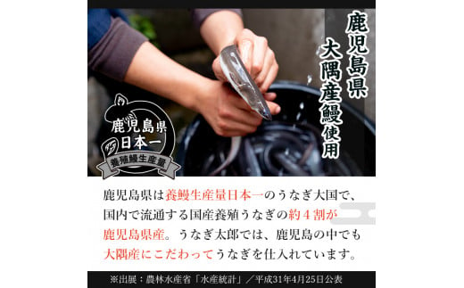 【0393711a】鹿児島県産東串良町のうなぎ蒲焼と白焼(合計3尾・蒲焼2尾、白焼1尾・合計420g以上・秘伝のタレ付き)うなぎ 高級 ウナギ 鰻 国産 蒲焼 蒲焼き 白焼き たれ 鹿児島【うなぎ太郎】