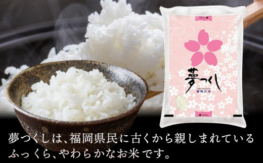 【令和6年産】福岡県産ブランド米「夢つくし」白米　10kg【米 ブランド米 ブランド 白米 夢つくし 令和6年産 家庭用 お取り寄せ お土産 福岡県産 取り寄せ グルメ 福岡県 大任町 AS012】