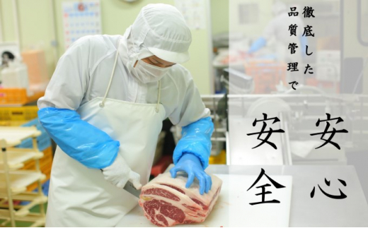 焼肉セット 炭火 牛肉 あか牛 600g 熊本県産 GI認証取得 くまもと 赤牛 熊本 和牛 肥後 焼き肉用 切り落とし 配送不可:離島