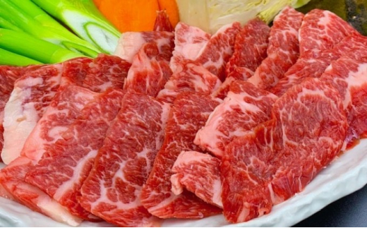 焼肉セット 炭火 牛肉 あか牛 600g 熊本県産 GI認証取得 くまもと 赤牛 熊本 和牛 肥後 焼き肉用 切り落とし 配送不可:離島