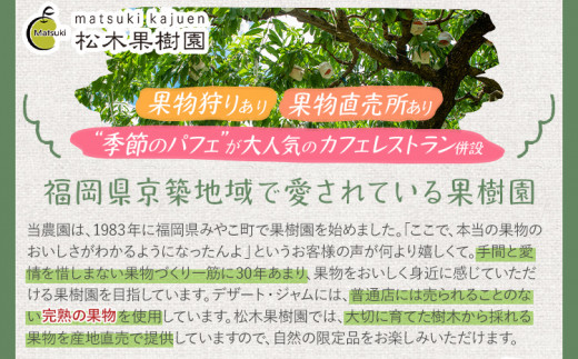 数量限定 旬の梨 約3kg 幸水 豊水 新水 松木果樹園 7月下旬～9月上旬 順次出荷予定 農家直送 樹上完熟 甘い ジューシー フルーツ 果物 果汁 ギフト 福岡県 福岡 九州 グルメ お取り寄せ