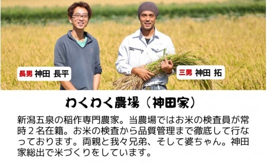 【令和6年産新米】 〈3回定期便〉 「わくわく農場」の五泉産 精米 コシヒカリ 10kg (5kg×2袋) 新潟県 五泉市 わくわく農場 ［2024年10月中旬以降順次発送］