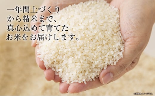 無地のし 令和6年産 新潟県 魚沼産 コシヒカリ お米 4kg  (2kg×2袋) 精米済み（お米の美味しい炊き方ガイド付き） お米 こめ 白米 新米 こしひかり 食品 人気 おすすめ 送料無料 魚沼 十日町 十日町市 新潟県産 新潟県 精米 産直 産地直送 お取り寄せ