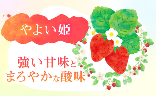 朝摘み 愛知県産 完熟やよい姫 約250g×4パック いちご やよい姫 完熟 愛西市/くぼ苺農園 [AECJ003]