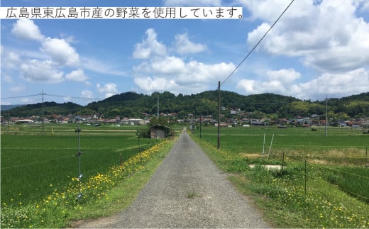 【低アレルゲン】朝のひとくちめ　東広島野菜のポタージュ15個