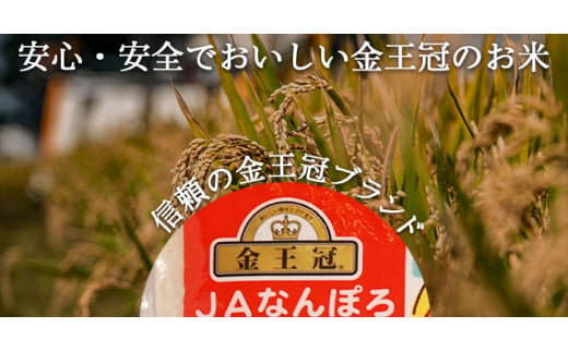 北海道産 ななつぼし 5kg 令和5年産 YES!clean 北海道安心ラベル 米 お米 ライス rice 道産米 北海道南幌町 南幌町 NP1-453