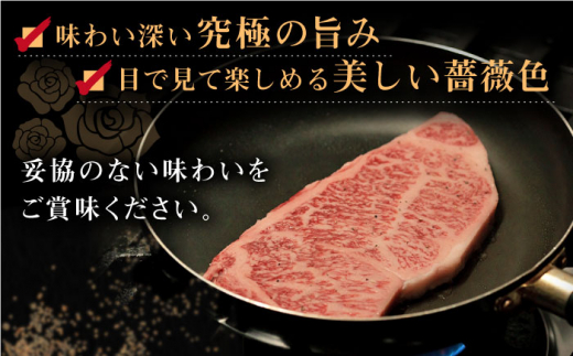 【全3回定期便】長崎和牛「出島ばらいろ」特選霜降 サーロインステーキたっぷり約500g【合同会社肉のマルシン】 [QBN019]