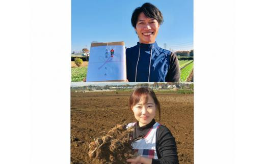 【約3kg】【日本農業遺産】落ち葉堆肥でじっくり育ったしっとり里芋 ／ やさい 野菜 さといも 埼玉県