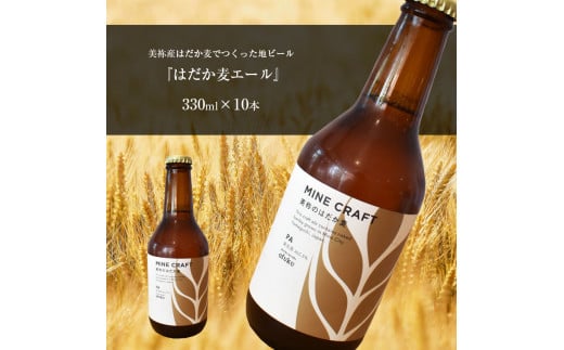 美祢産 はだか麦でつくった地ビール 『はだか麦エール』 ｜ 麦 地ビール ビール クラフトビール 酒 はだか麦 麦芽 ヘルシーフード 山口 美祢 特産品 秋吉台