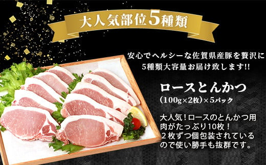 【配送月が選べる】SPFプレミアムポーク芳寿豚まんぷくセット 豚肉 ロース バラ モモ スライス とんかつ しゃぶしゃぶ しょうが焼き D-62