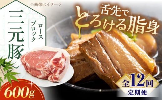 肉 豚肉 ロース ブロック ローストポーク 煮豚 酢豚 煮物 冷凍配送