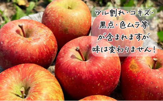 【11月下旬発送】【訳あり】青森県津軽のりんご「サンふじ・王林」約5kg【里いちみfarm】