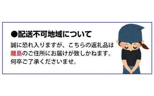 【先行予約受付　有田ミカン】紀州有田産　濃厚完熟温州みかん　3kg（ＭサイズまたはＳサイズ）※2024年11月下旬頃〜2025年1月下旬頃に順次発送予定(お届け日指定不可)【uot713】